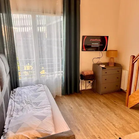 2 Pieces Duplex Les Moulineaux Ascenseur Internet *